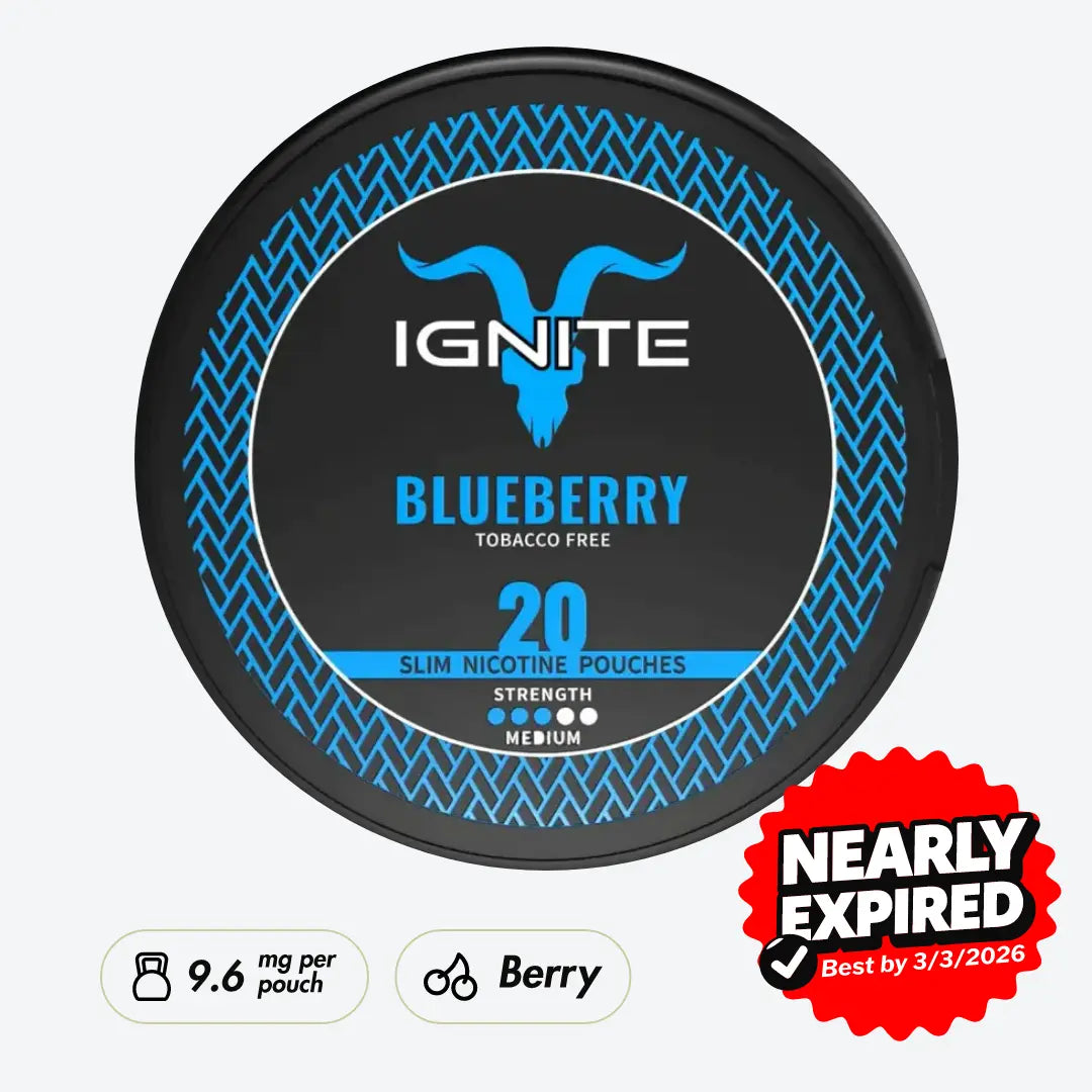 IGNITE Blueberry - Pouchdaddy