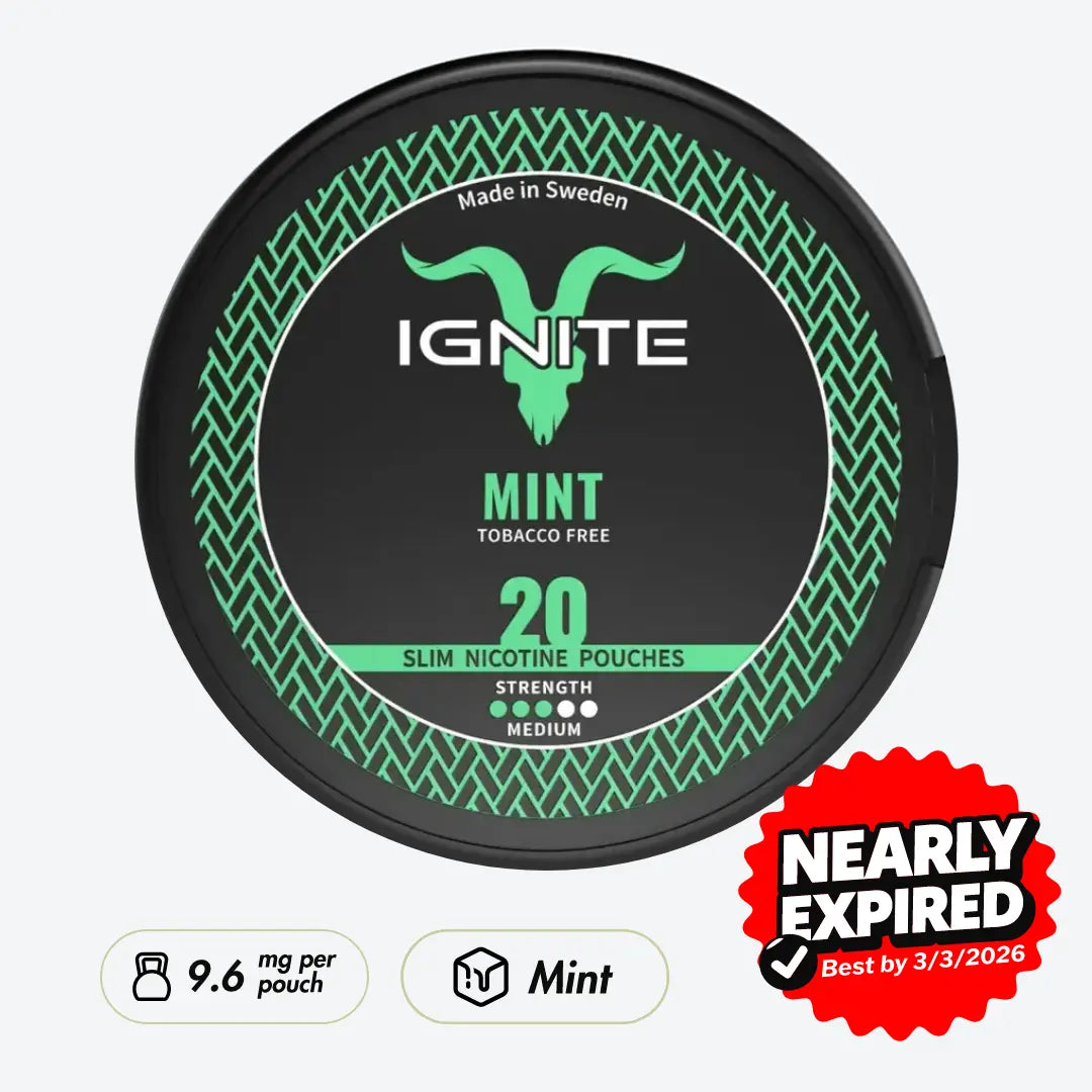 IGNITE Mint - Pouchdaddy