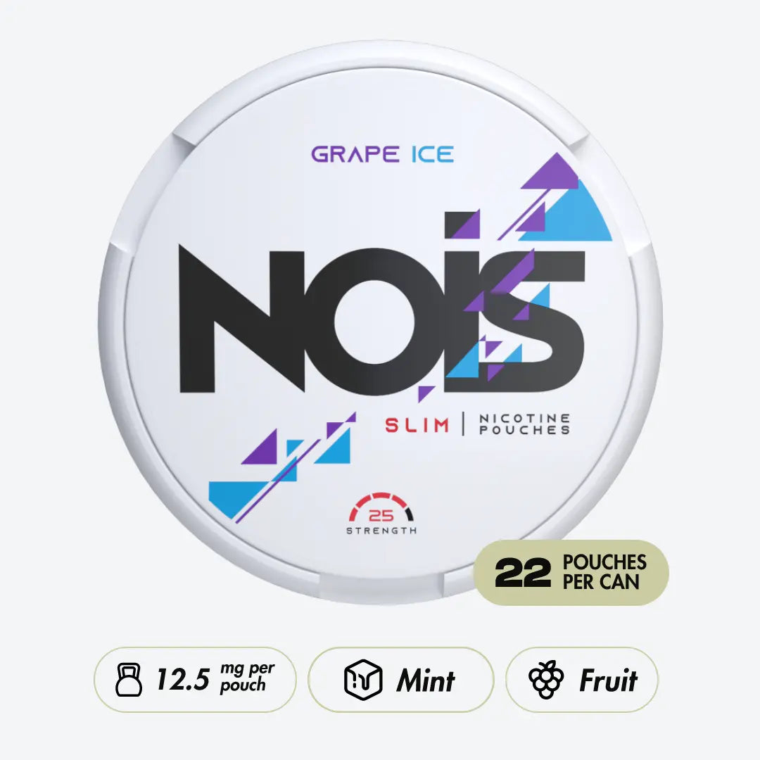 NOIS Grape Ice - Pouchdaddy
