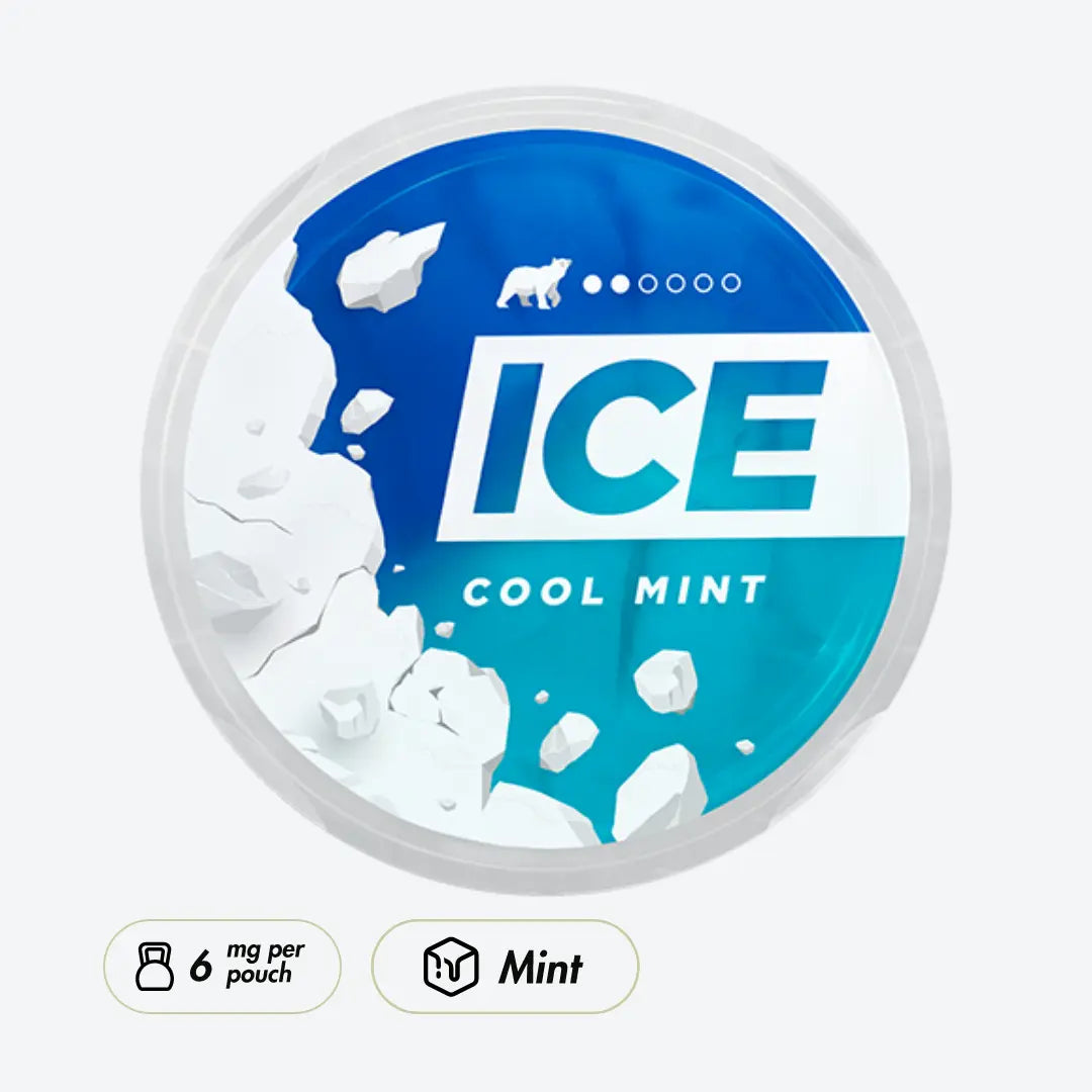 ICE Cool Mint 6MG - Pouchdaddy