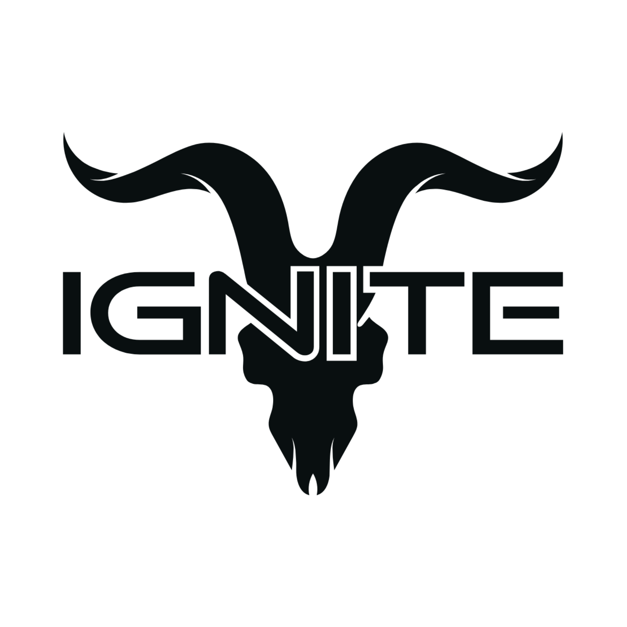 IGNITE Nicotine Pouches