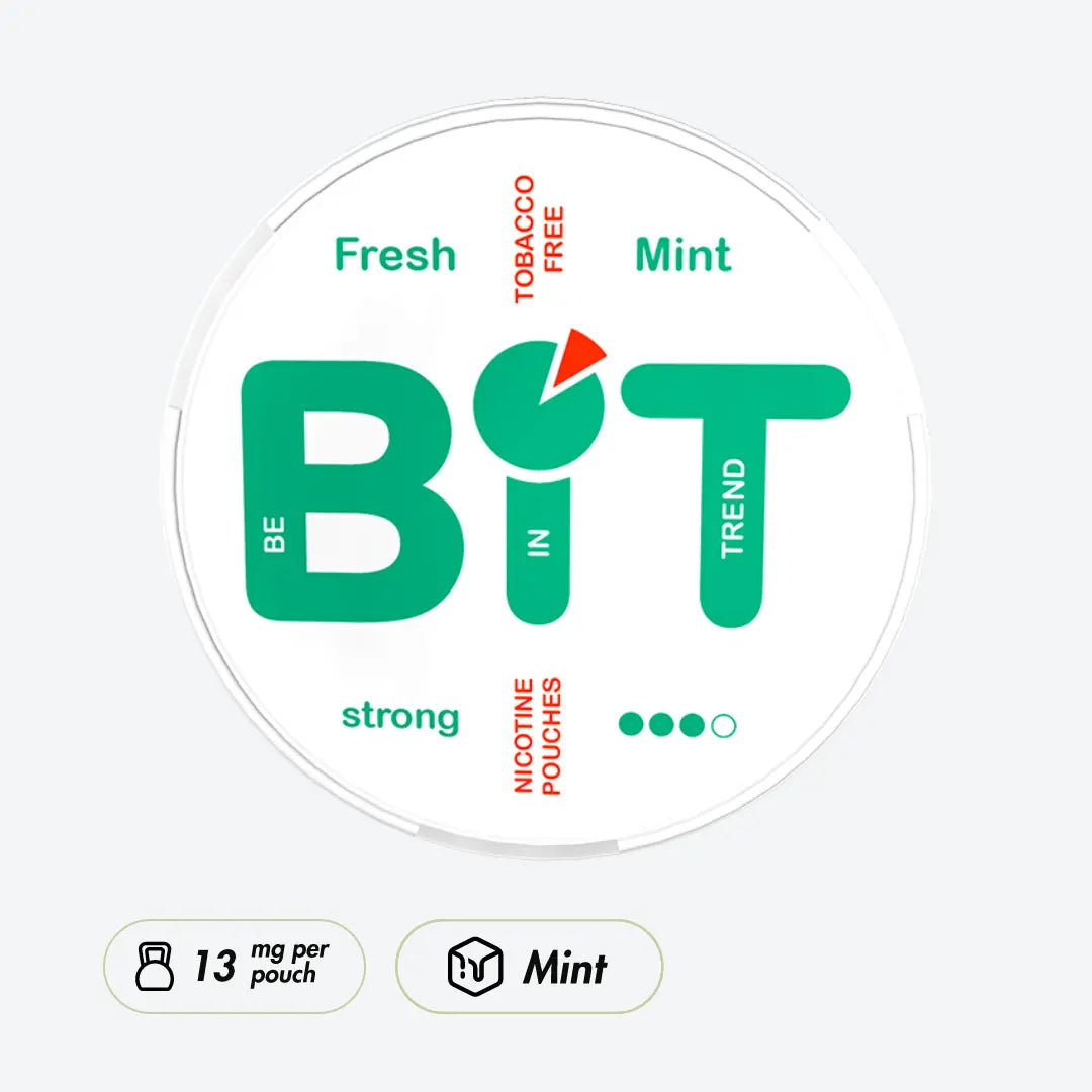 BiT Fresh Mint - Pouchdaddy
