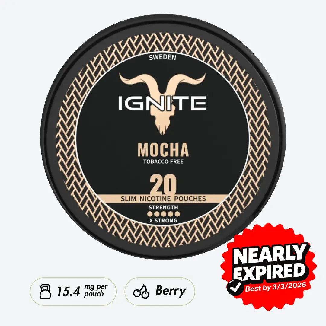 IGNITE Mocha X-Strong - Pouchdaddy
