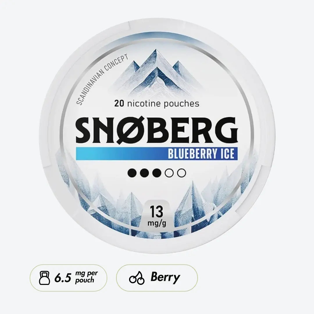SNOBERG Blueberry Ice Medium