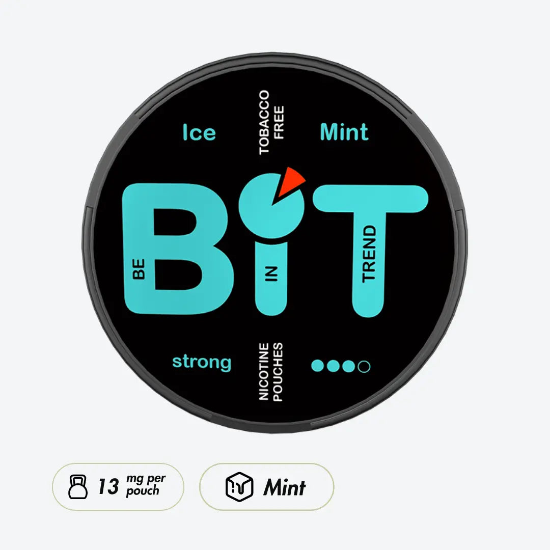 BiT Ice Mint - Pouchdaddy