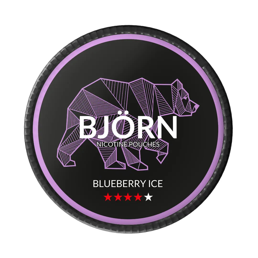 BJÖRN Blueberry Medium - Pouchdaddy