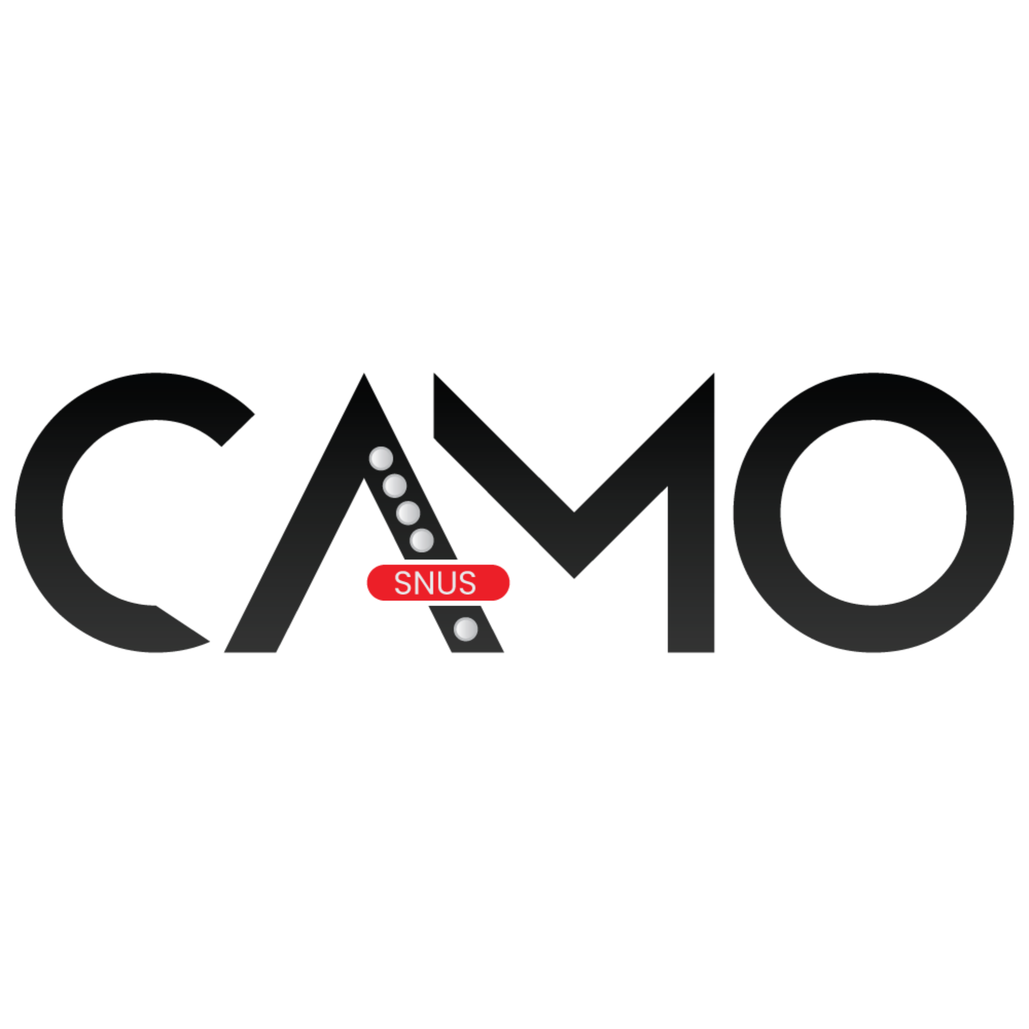 Camo logo